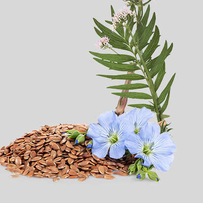 blumensamen bubblenavibild